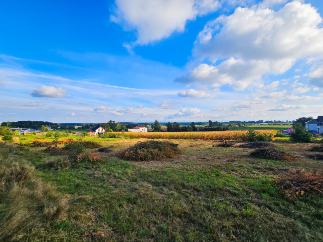 Działka Sprzedaż Mikołów Młyńska 4