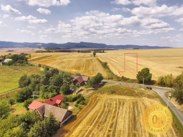 Działka Sprzedaż Radków