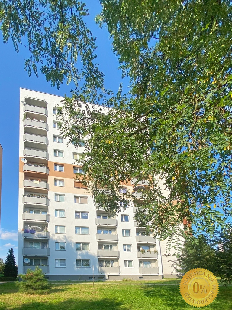 Mieszkanie Wynajem Katowice Marcina Radockiego 15
