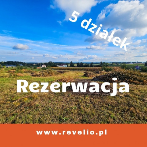 Działka Sprzedaż Mikołów Młyńska 1