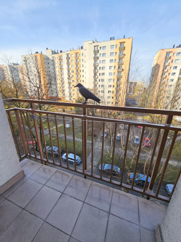 Mieszkanie Wynajem Katowice gen. Józefa Sowińskiego 14