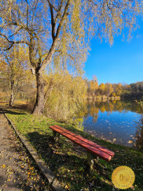Dom Sprzedaż Chorzów Stary Chorzów Antoniowska