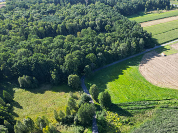 Działka Sprzedaż Orzesze Gardawice Łąkowa