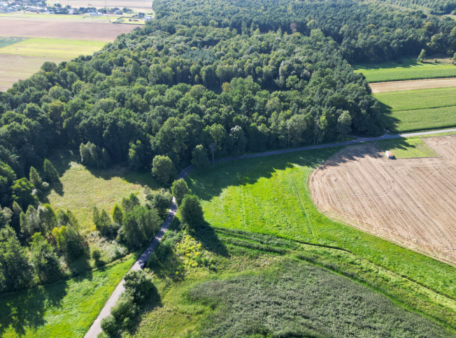 Działka Sprzedaż Orzesze Gardawice Łąkowa 4