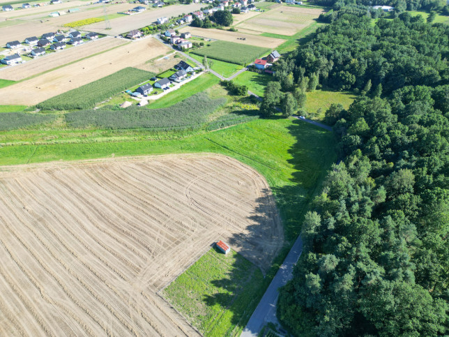 Działka Sprzedaż Orzesze Gardawice Łąkowa 9