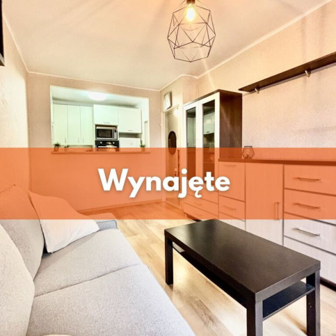 Mieszkanie Wynajem Bytom Alojzjanów 1