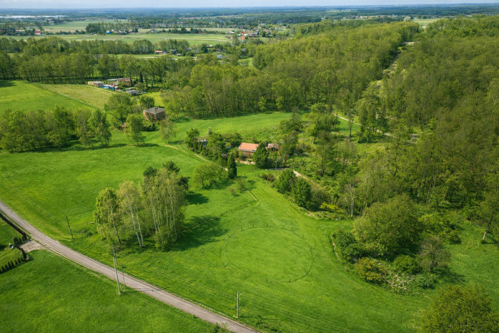 Działka Sprzedaż Mikołów Mokre Kręta 8