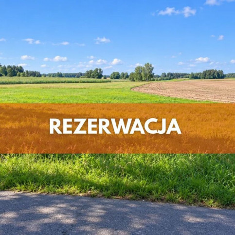 Działka Sprzedaż Orzesze Gardawice Łąkowa 1