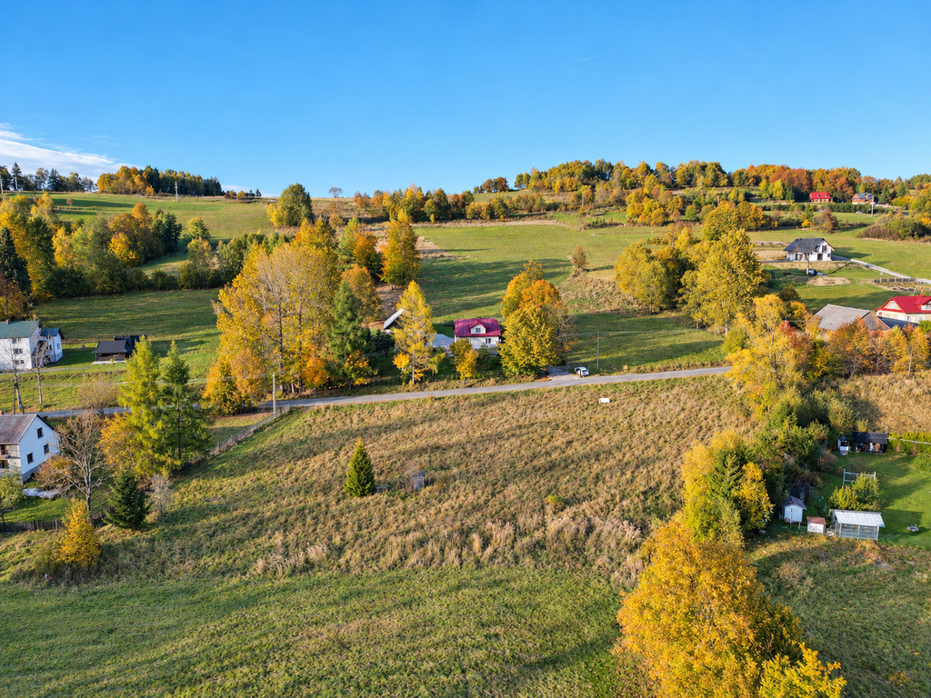 Działka Sprzedaż Laliki