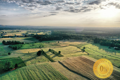 Działka Sprzedaż Orzesze