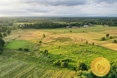 Działka Sprzedaż Orzesze