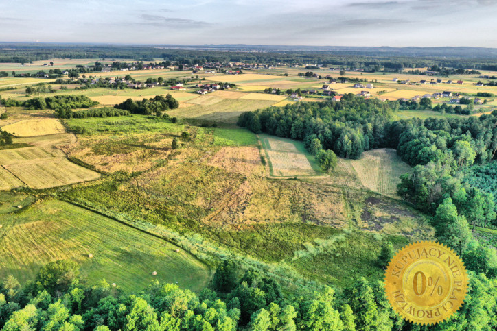 Działka Sprzedaż Orzesze 10