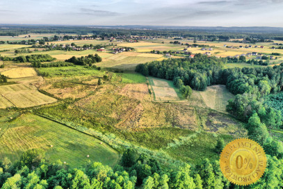 Działka Sprzedaż Orzesze