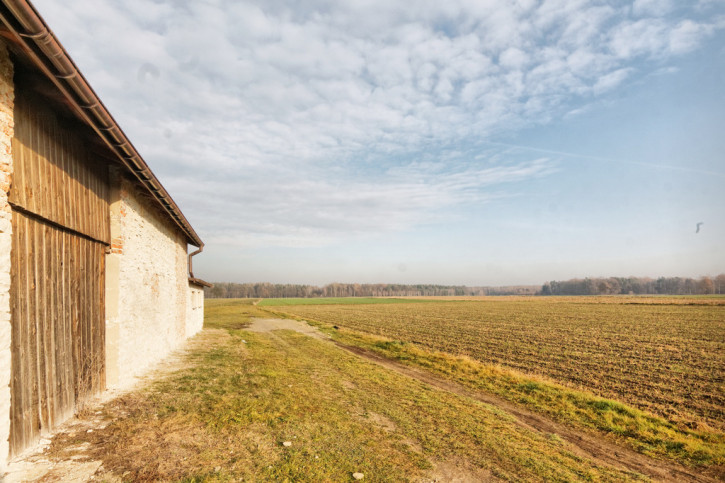 Działka Sprzedaż Pyskowice 5