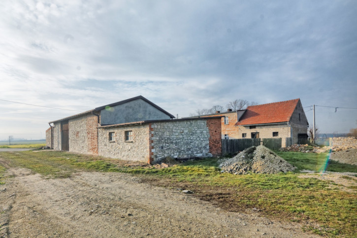 Działka Sprzedaż Pyskowice 6