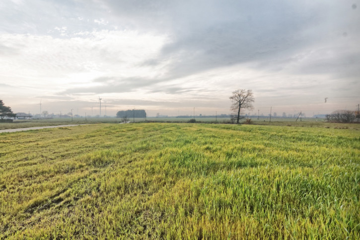 Działka Sprzedaż Pyskowice 2
