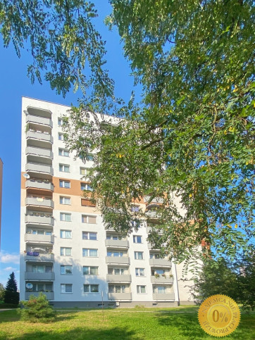 Mieszkanie Wynajem Katowice Marcina Radockiego 15